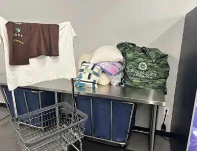 Laundry Pickup Delivery Service In Winston Salem (2)