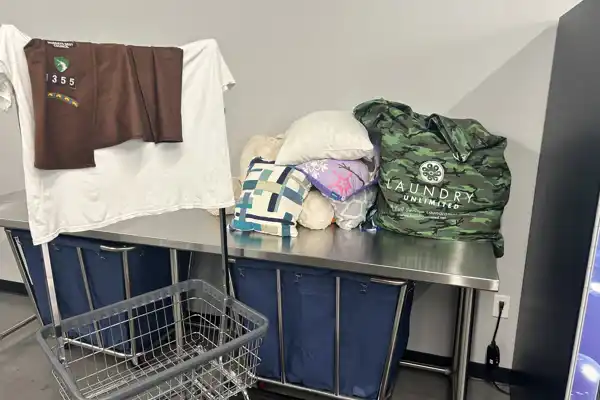 Laundry Pickup Delivery Service In Southpark
